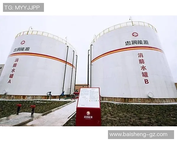 专业解析LNG战队快速进攻策略与战术运用全景分析实时新闻